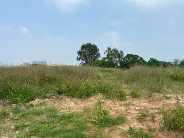 广州番禺南村镇金山大道路边5000方空地出租，可分租，5元/平/月，19年年限，可停车堆放