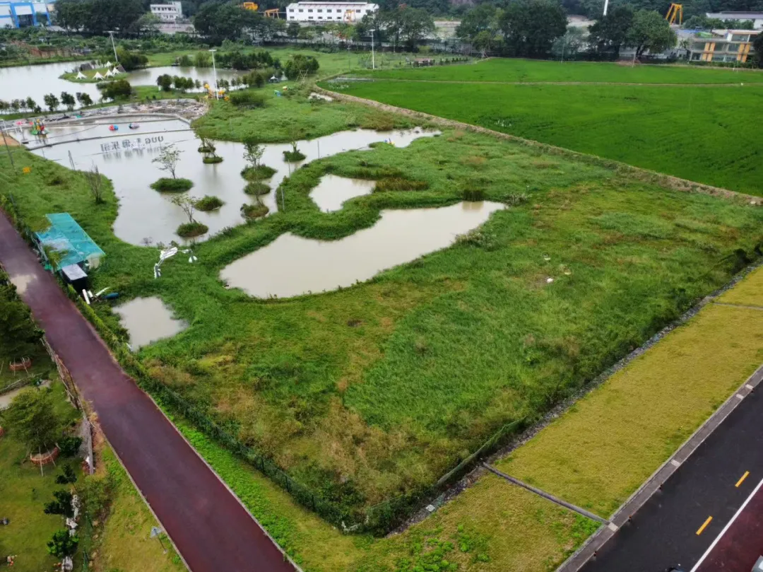 广州番禺石楼10亩江边场地出租,15年年限,适合露营休闲团建