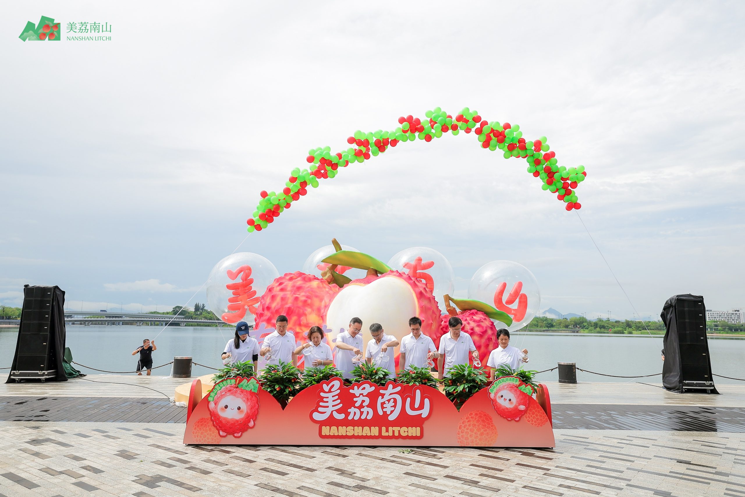 "美荔南山"2026 年南山荔枝旅游消费季（2026年6月13日起）
